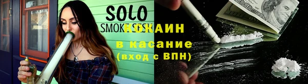 spice Богородицк