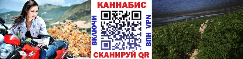 закладки  Нерчинск  дарк нет какой сайт  Каннабис VHQ 